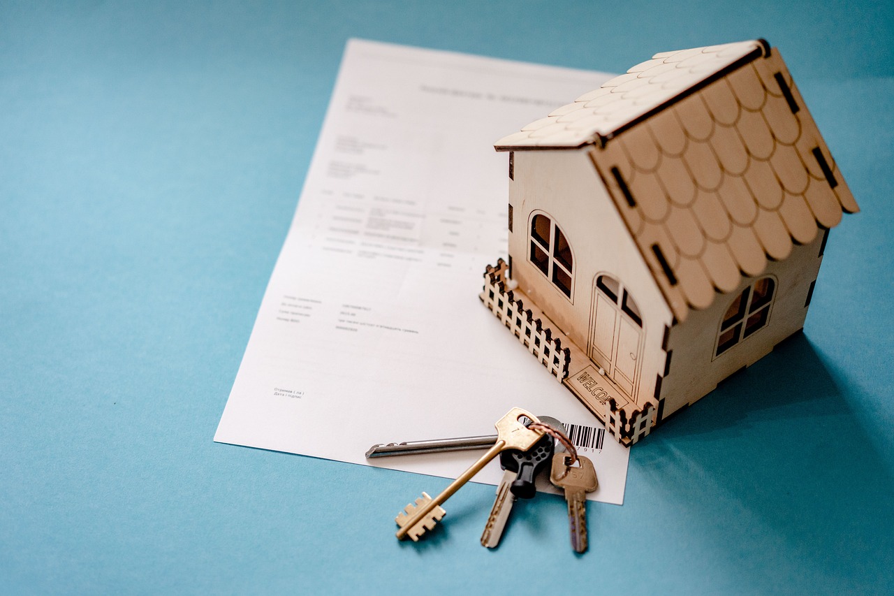 La nueva ley de la vivienda y sus repercusiones en el mercado inmobiliario y de la edificación